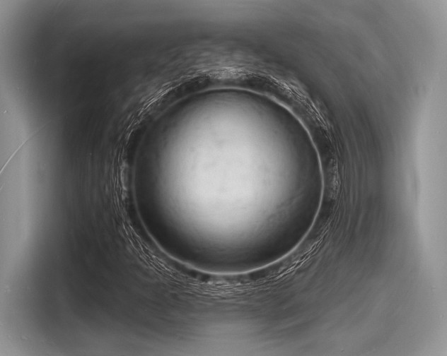 X0000116131301200911301339