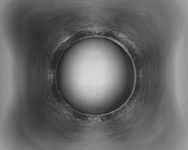 X0000116131302200911301339