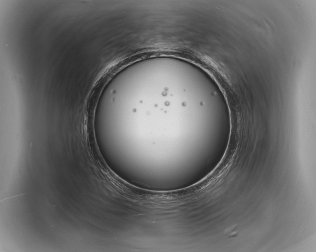X0000116131307200911301339