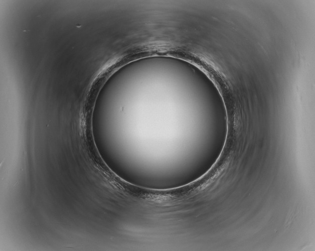 X0000116131309200911301339