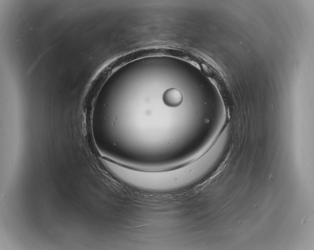 X0000116131310200911301339