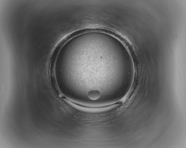 X0000116131311200911301339