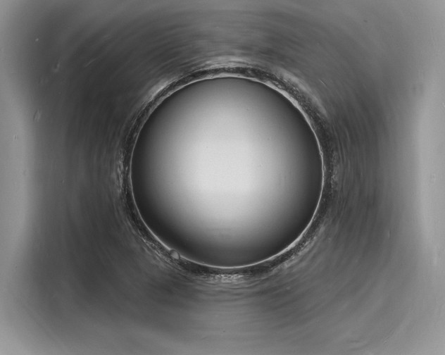 X0000116131313200911301339