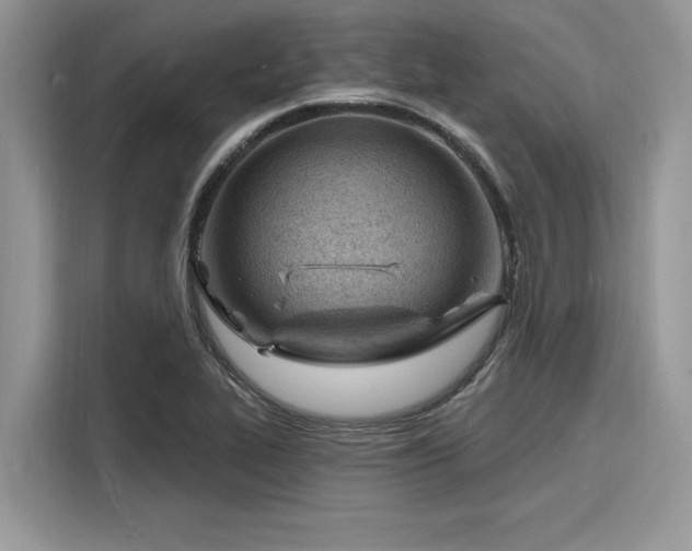 X0000116131319200911301339