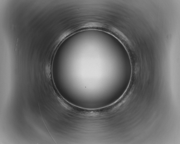 X0000116131321200911301339
