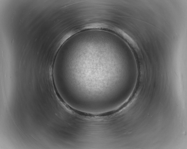 X0000116131329200911301339