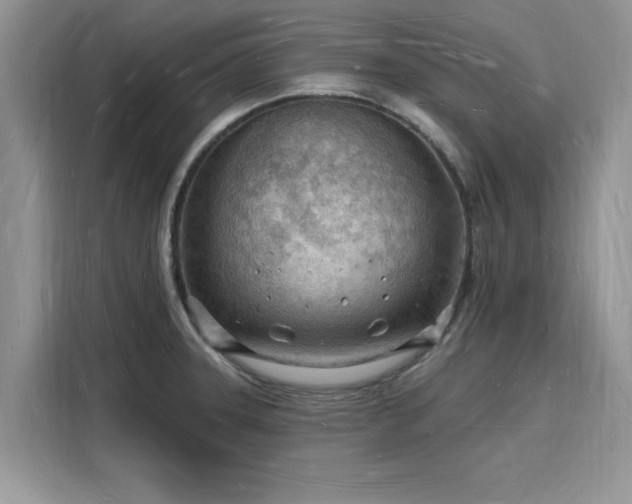 X0000116131331200911301339
