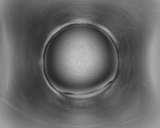 X0000116131335200911301339