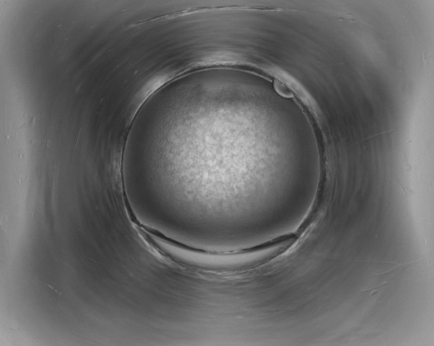 X0000116131337200911301339