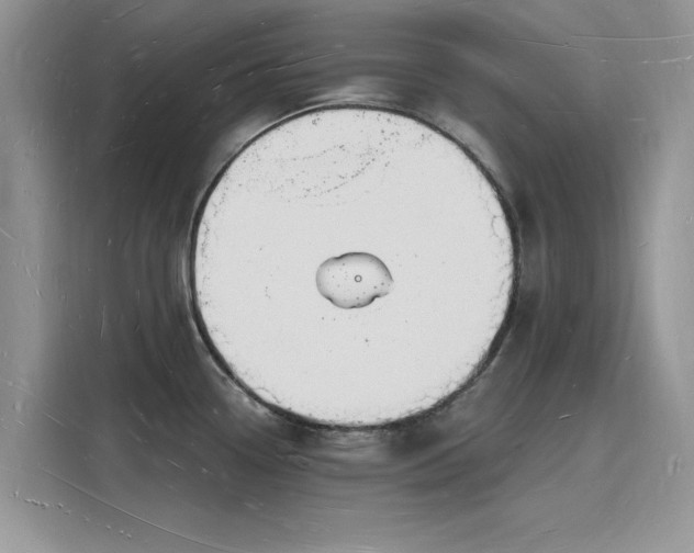 X0000116131338200911301339