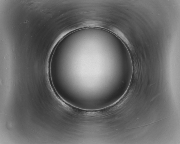 X0000116131339200911301339
