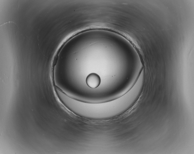 X0000116131342200911301339