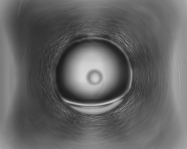 X0000116131345200911301339