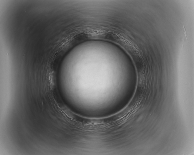 X0000116131346200911301339