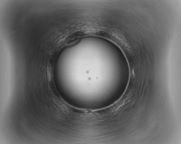 X0000116131348200911301339