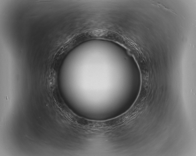 X0000116131349200911301339