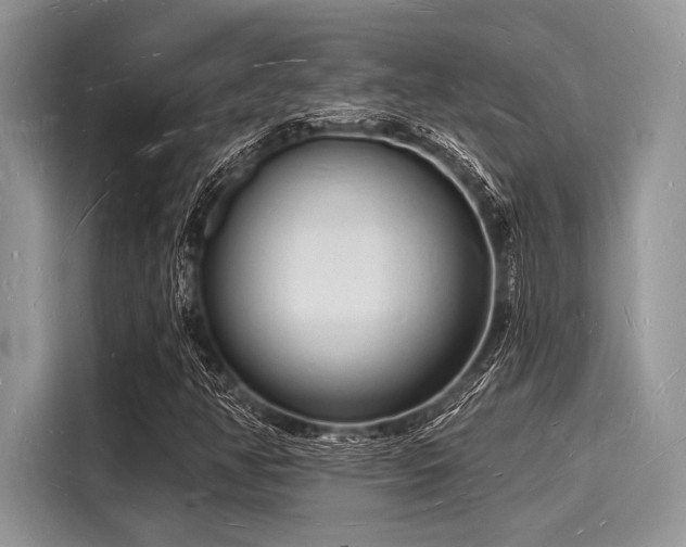 X0000116131350200911301339