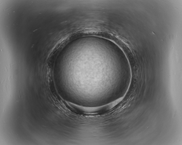 X0000116131351200911301339