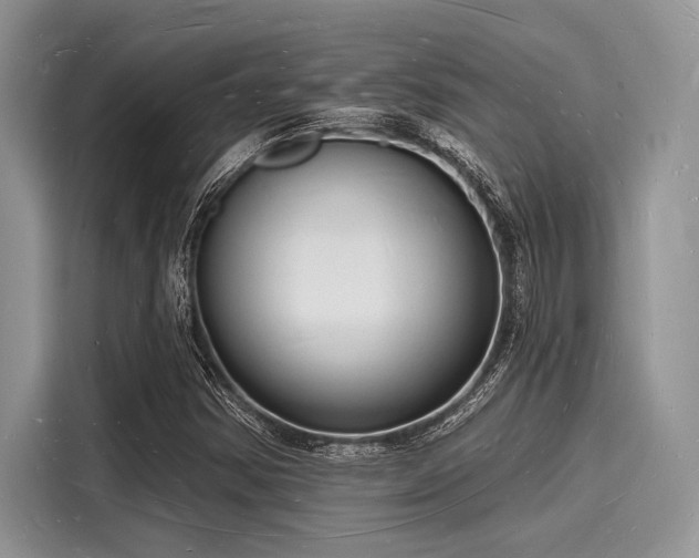 X0000116131354200911301339