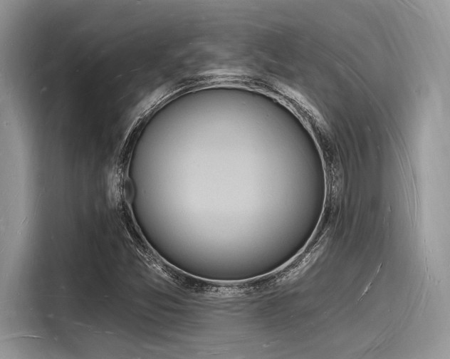 X0000116131357200911301339