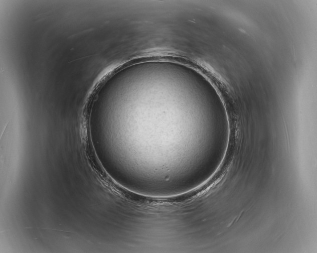 X0000116131358200911301339
