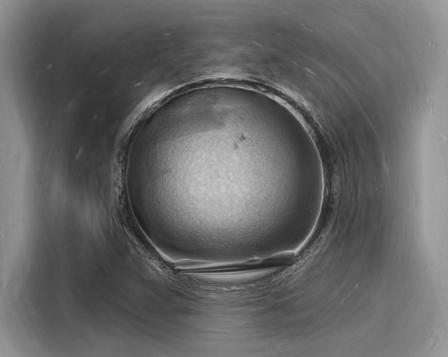 X0000116131359200911301339