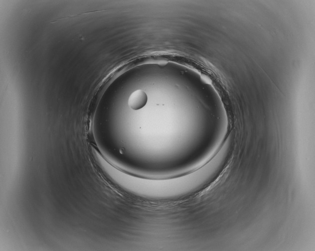 X0000116131361200911301338