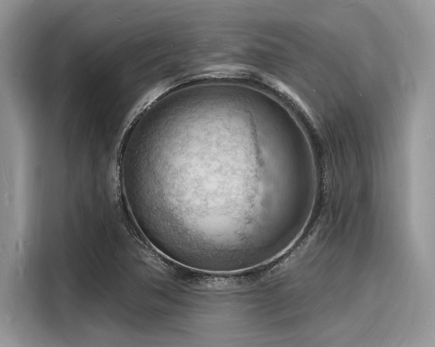 X0000116131362200911301338