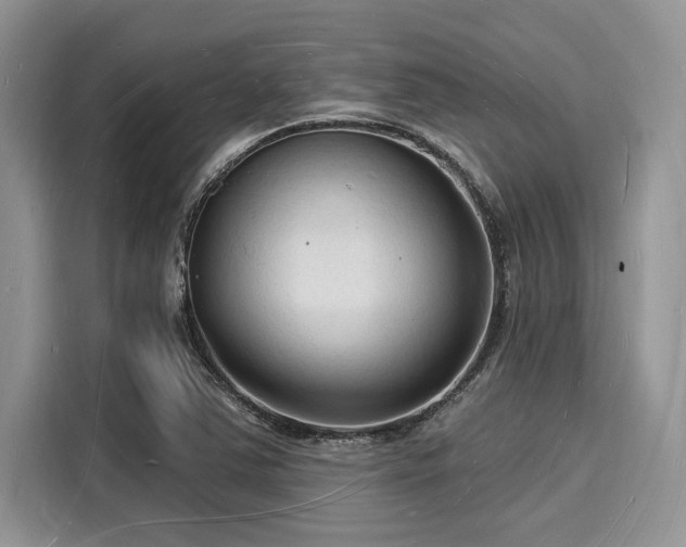 X0000116131363200911301338