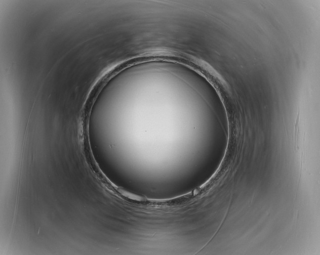 X0000116131364200911301338