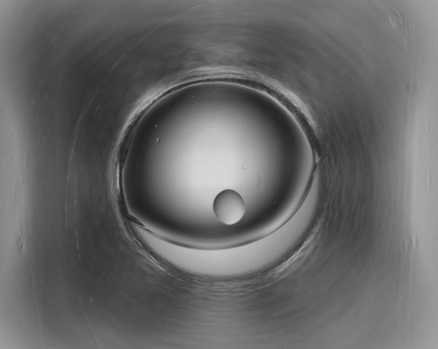X0000116131365200911301338