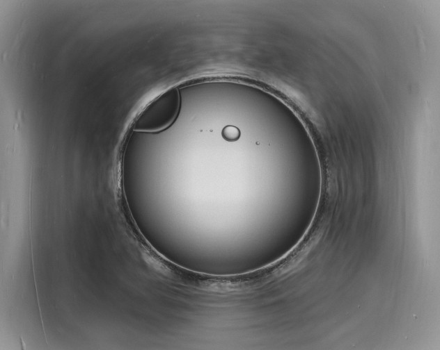 X0000116131366200911301338