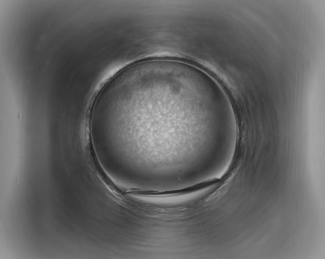 X0000116131367200911301338