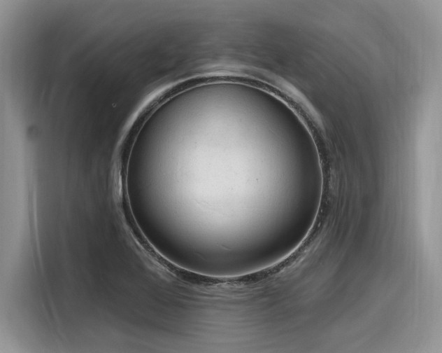 X0000116131368200911301338