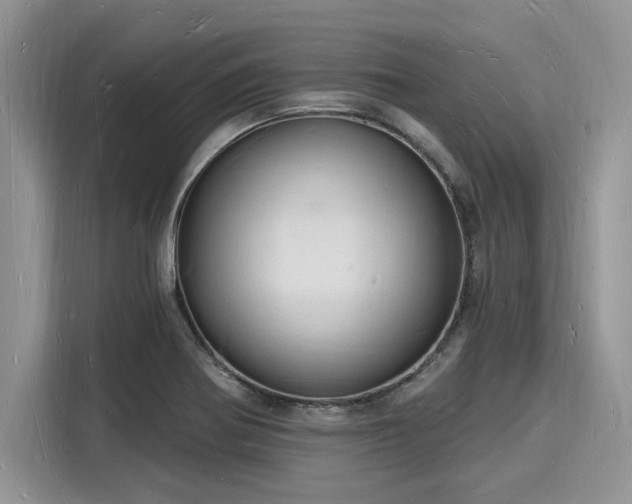 X0000116131370200911301338