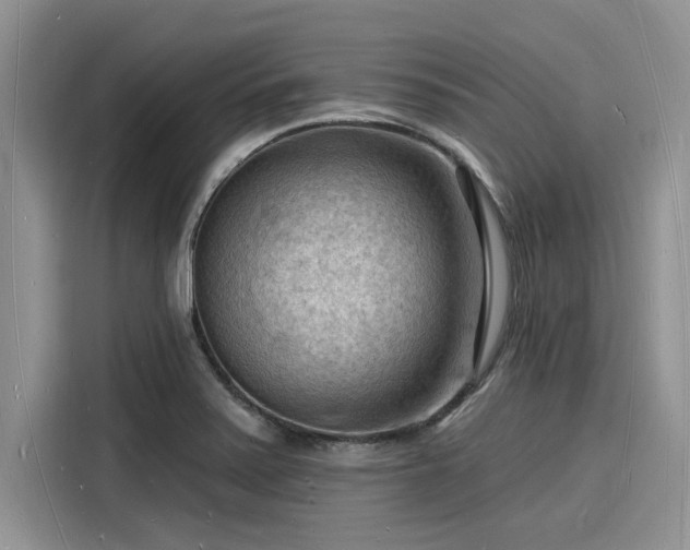 X0000116131371200911301338