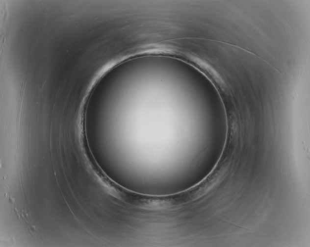 X0000116131375200911301338