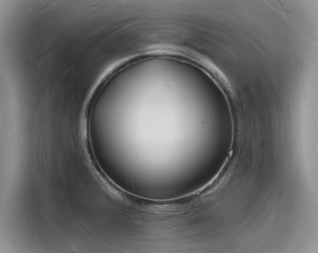 X0000116131376200911301338