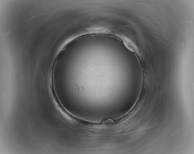 X0000116131383200911301338