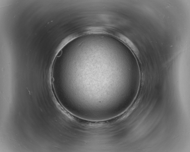X0000116131386200911301338
