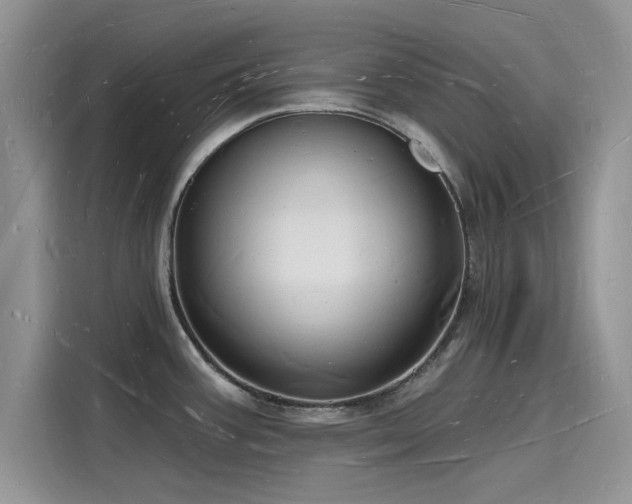 X0000116131387200911301338