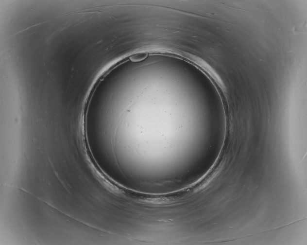 X0000116131388200911301338