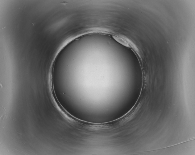 X0000116131391200911301338