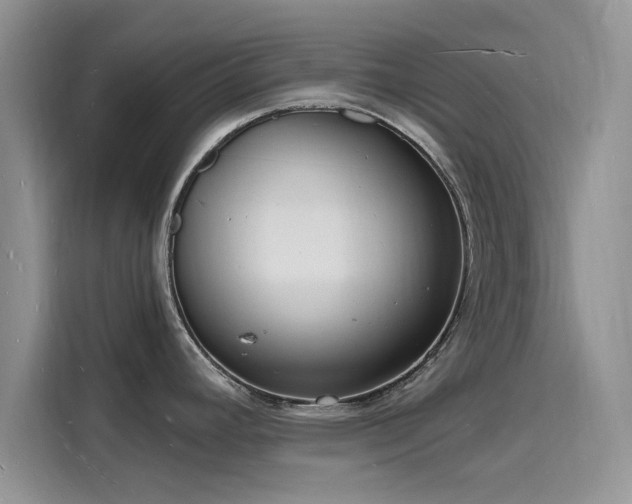 X0000116131392200911301338