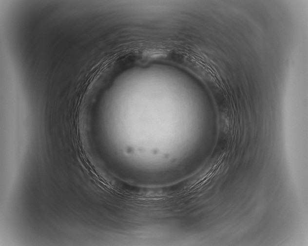 X0000116131393200911301337