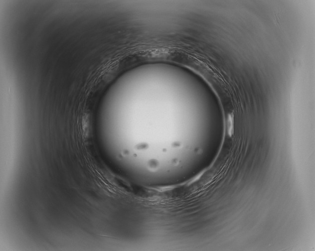 X0000116131395200911301337