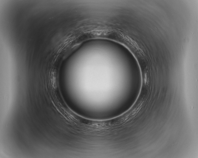 X0000116131396200911301337