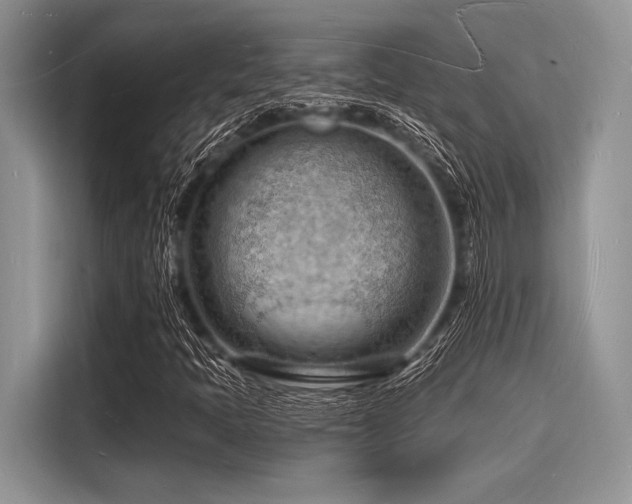 X0000116131397200911301338
