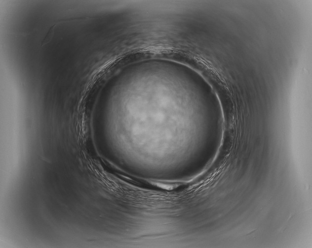 X0000116131398200911301338