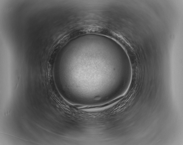 X0000116131399200911301338